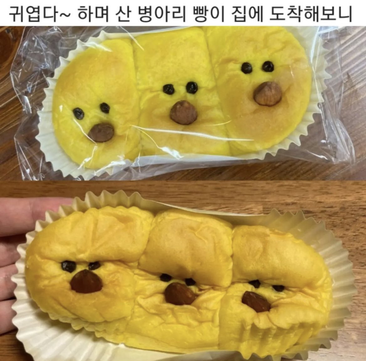 sorbetxt's tweet photo. 귀엽다~ 하며 산 병아리 빵이 집에 도착해보니 ꒰ -᷅ ⤙ -᷄ ꒱ https://t.co/7m9mWnEP7G