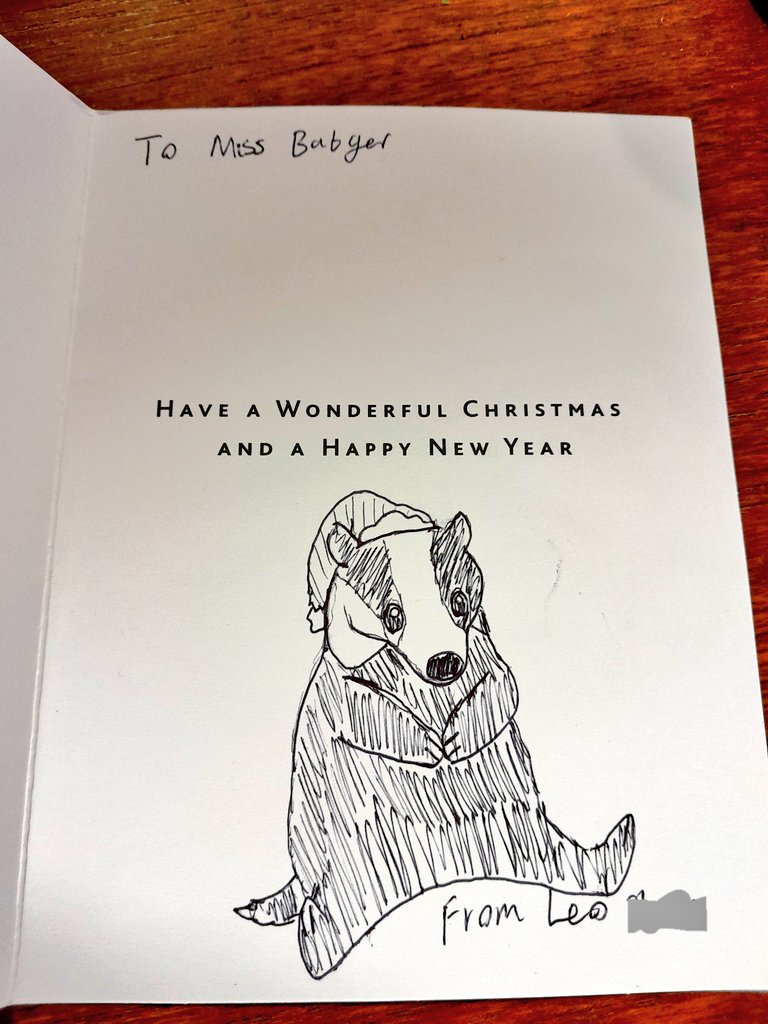 This may be my favourite Christmas card ever 😊🦡