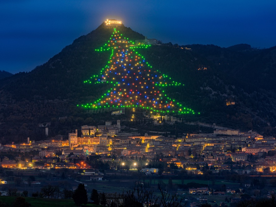 What a year it has been! Let's enjoy the final #TreeOfTheWeek of 2022: the largest Christmas tree in the world! 

Located in Gubbio, Italy, this 'tree' is actually a dazzling collection of lights. Truly charming! 

Merry Christmas #TreeNerds!

Learn more:
timeout.com/news/the-world…