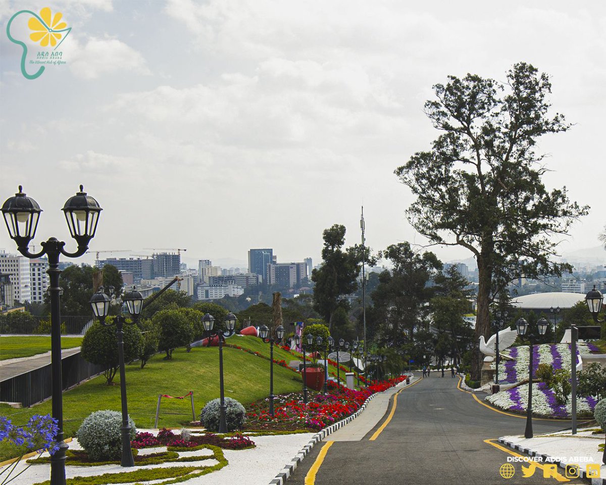 DiscoverAddis's tweet photo. A Little glimpse of Unity park (አንድነት ፓርክ).One of the best places to definitely visit in Addis! 

The vibrant hub of Africa.
አፍሪቃዊቷ_መልኀቅ
.
.
.
#discoveraddisababa #አፍሪቃዊቷ_መልኀቅ #addisababacity #beautifuldestinations #beautifulcity #thevibranthubofafrica https://t.co/Qe3ttLB15I
