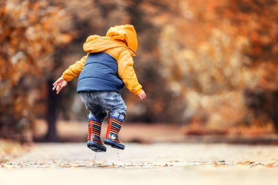 la_lesaffaires's tweet photo. Les personnes seules sans enfant peinent aussi à payer leurs dettes, dans une proportion de 34%. https://t.co/GMv1RiteeU https://t.co/FlSAf91oW3