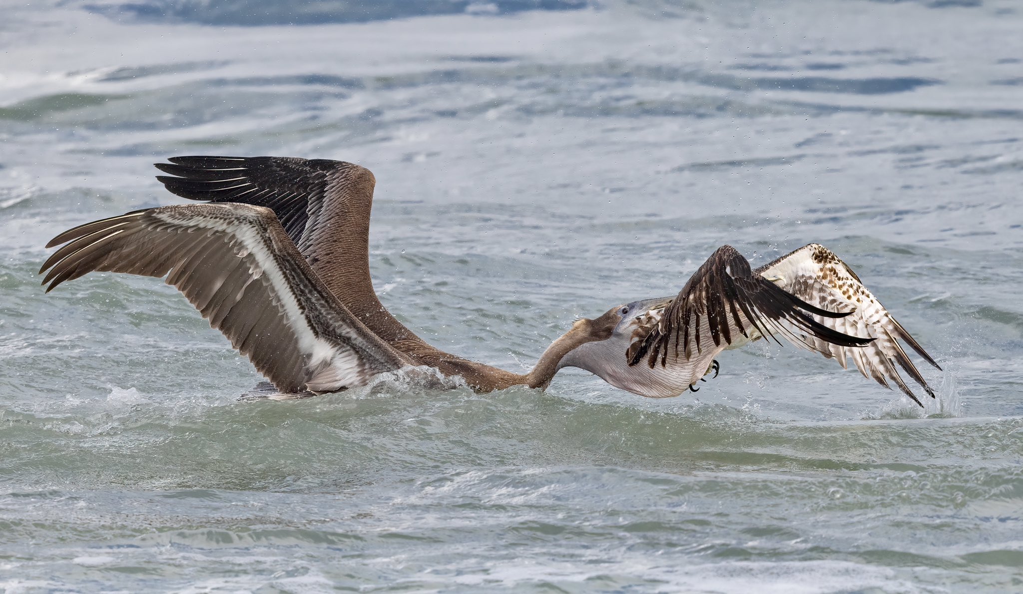 Mark Smith Photography on Twitter "anikmukherjee93 Full pic for