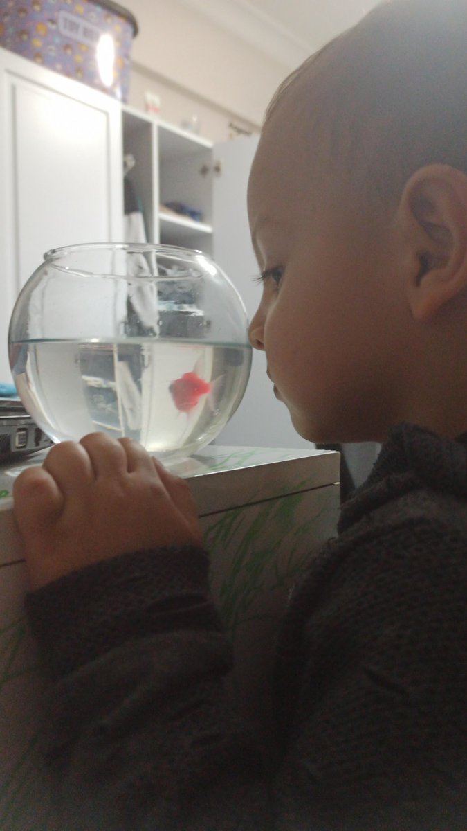 Kuşuma bu gün balık aldım 🤍