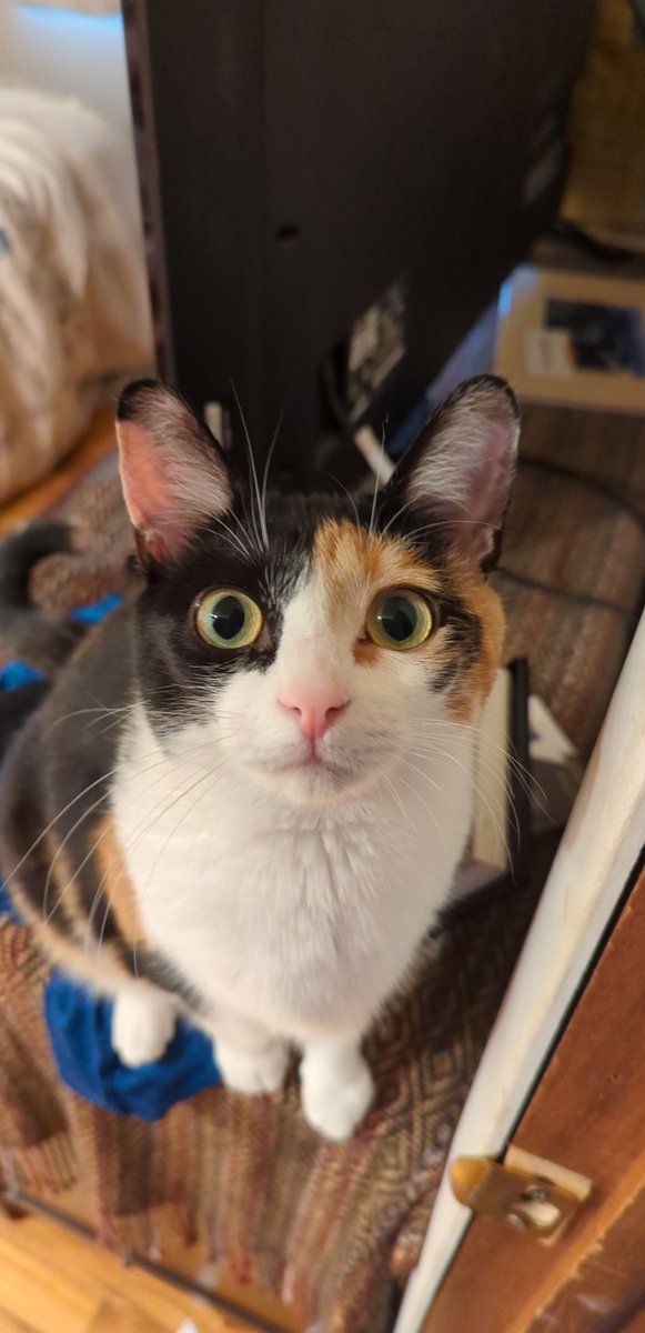 88 Design Group tweet media