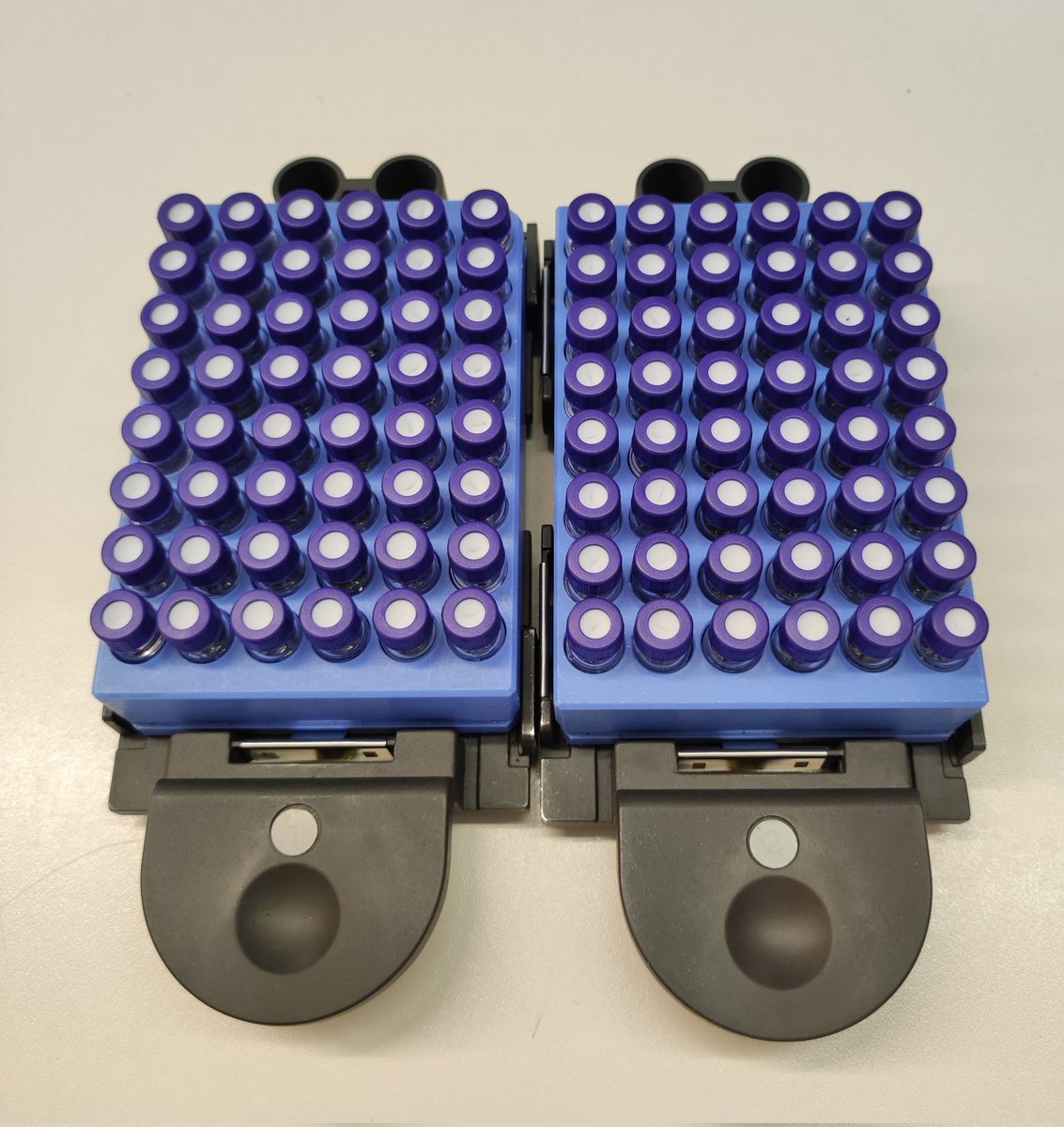 Francesc LR tweet media