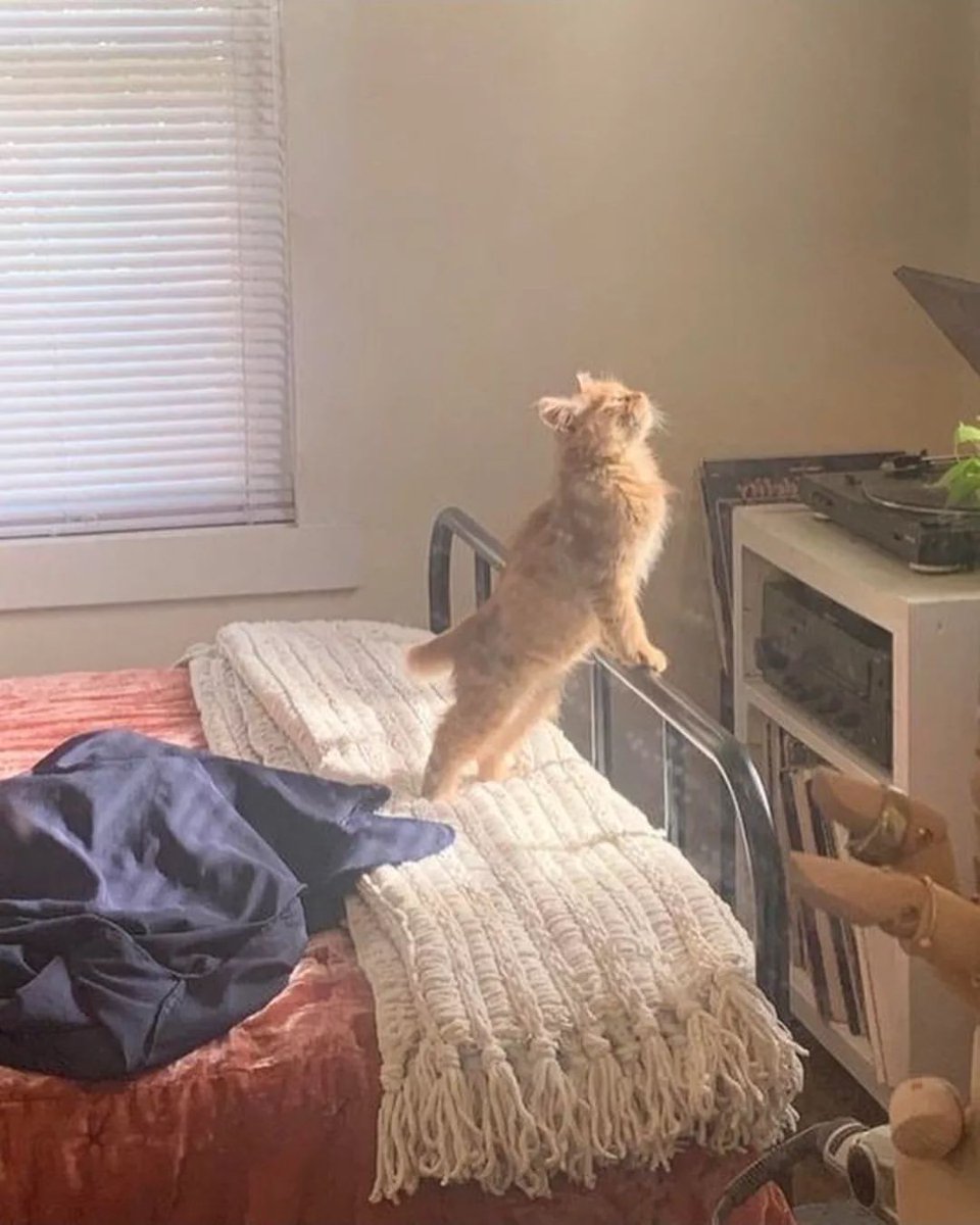 Waking up after your first Stay Asleep gummie. #WanaEnhanceYourLife