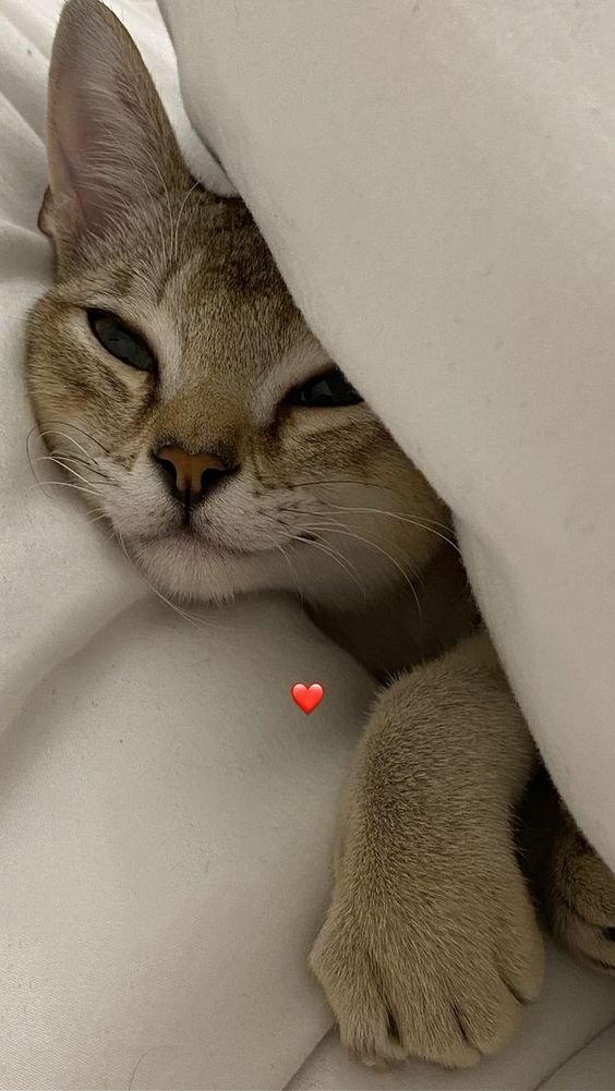 ❤️