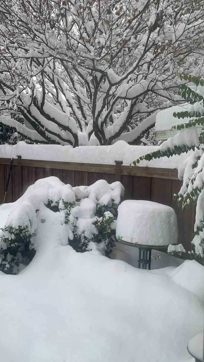 LeashaE's tweet photo. I’m just gunna stay inside today… #BCStorm https://t.co/1VieuLFWzt