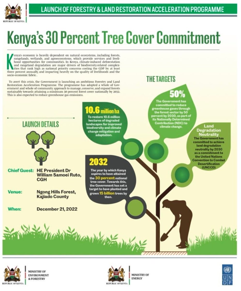 UNDPKenya's tweet photo. Tomorrow, we join H.E President Ruto at the Launch of the #15billion Trees Campaign.🌳
In partnership with Japan @MofaJapan_en, our #FLARAK project supports the acceleration of Forest & Land Restoration action in Kenya.
#ClimateAction #ForPeopleForPlanet is happening ⬇️ https://t.co/TOZJ04yFGM