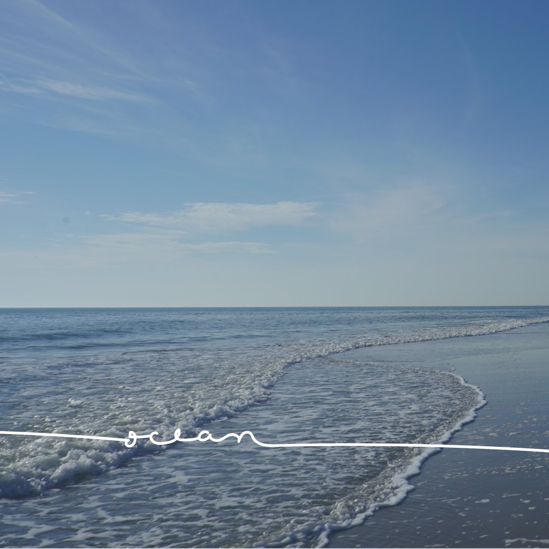 BHIConservancy tweet media