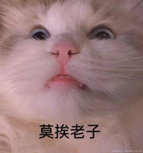 莫挨老子 https://t.co/67dB2TYR9c