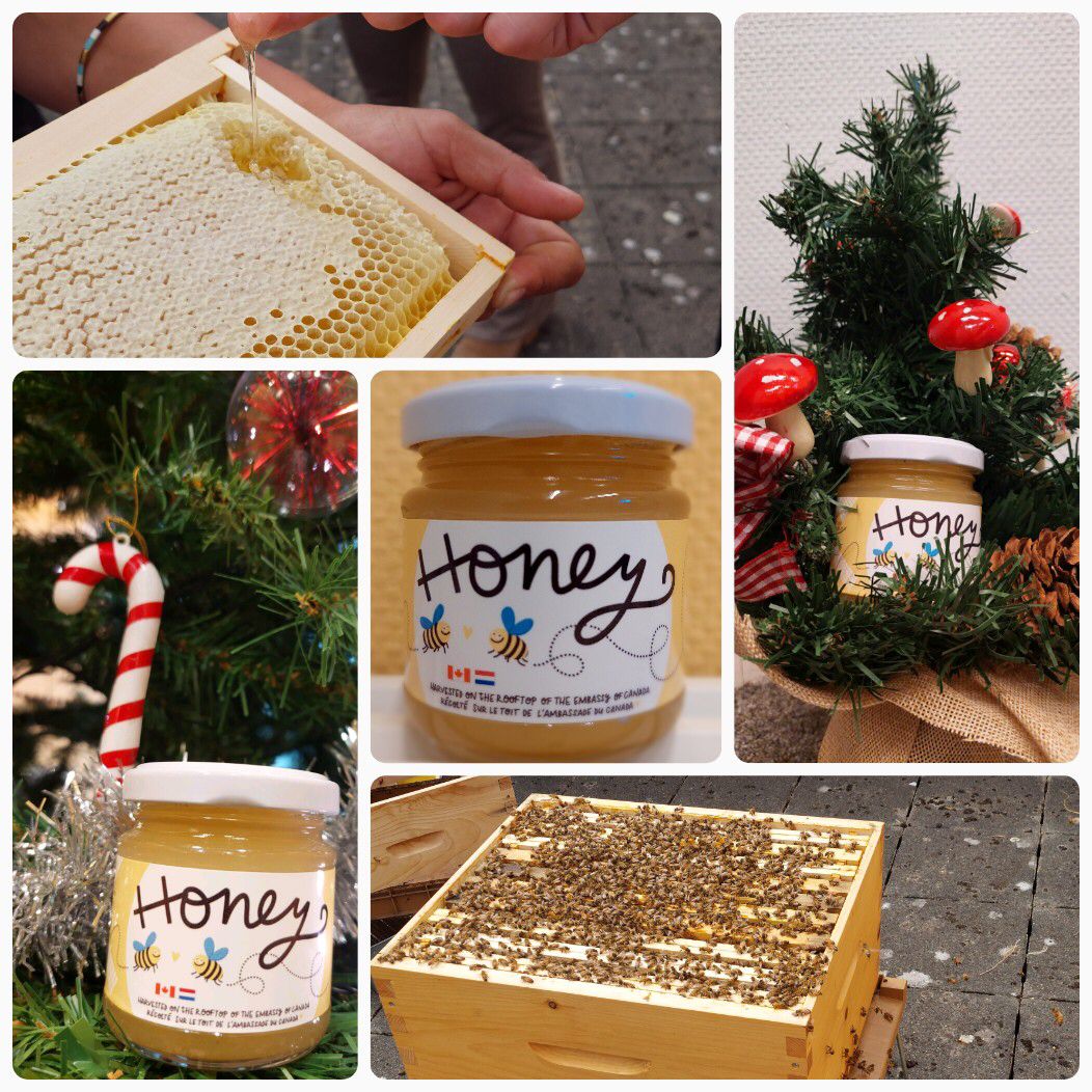 AmbCanNL's tweet photo. Rien n’équivaut le sirop d’érable 🇨🇦, mais cela s’en rapproche 😉
Les belles abeilles d’@AmbCanNL on fait le buzz cette année, et leur miel vient d’être livré. Merci @alveolebuzz pour votre collaboration!
Bon temps des Fêtes à tous 💫🎁🎄#JoyeusesFêtes #ApicultureDurable https://t.co/7isfvyFCmQ