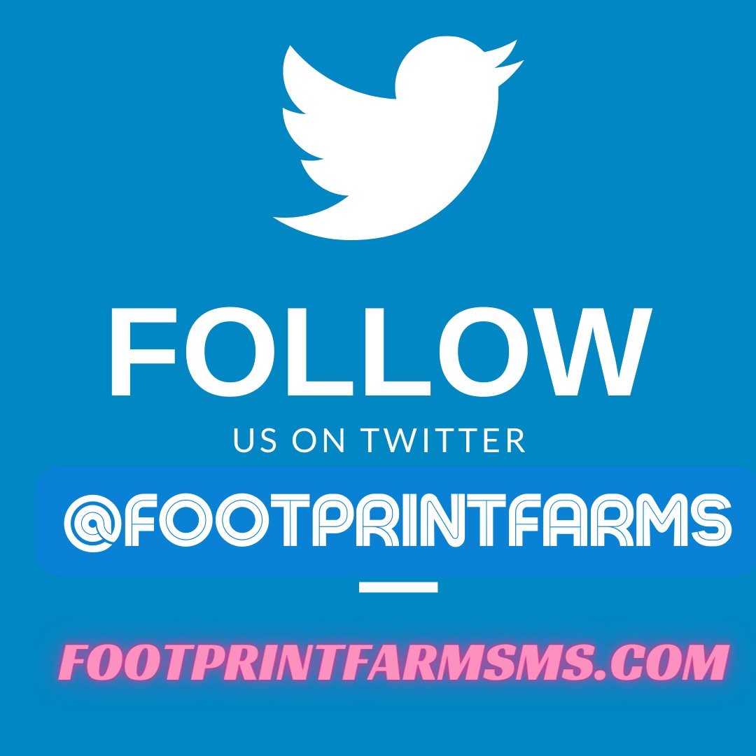 We'd like to thank you for following us on our social media platforms! Please be sure to like, share and follow us! Simply type <a href="/FootPrintFarms/">Foot Print Farms</a> in each platform: IG, FB and Twitter and you'll find us~ Share this post to your social media platforms.