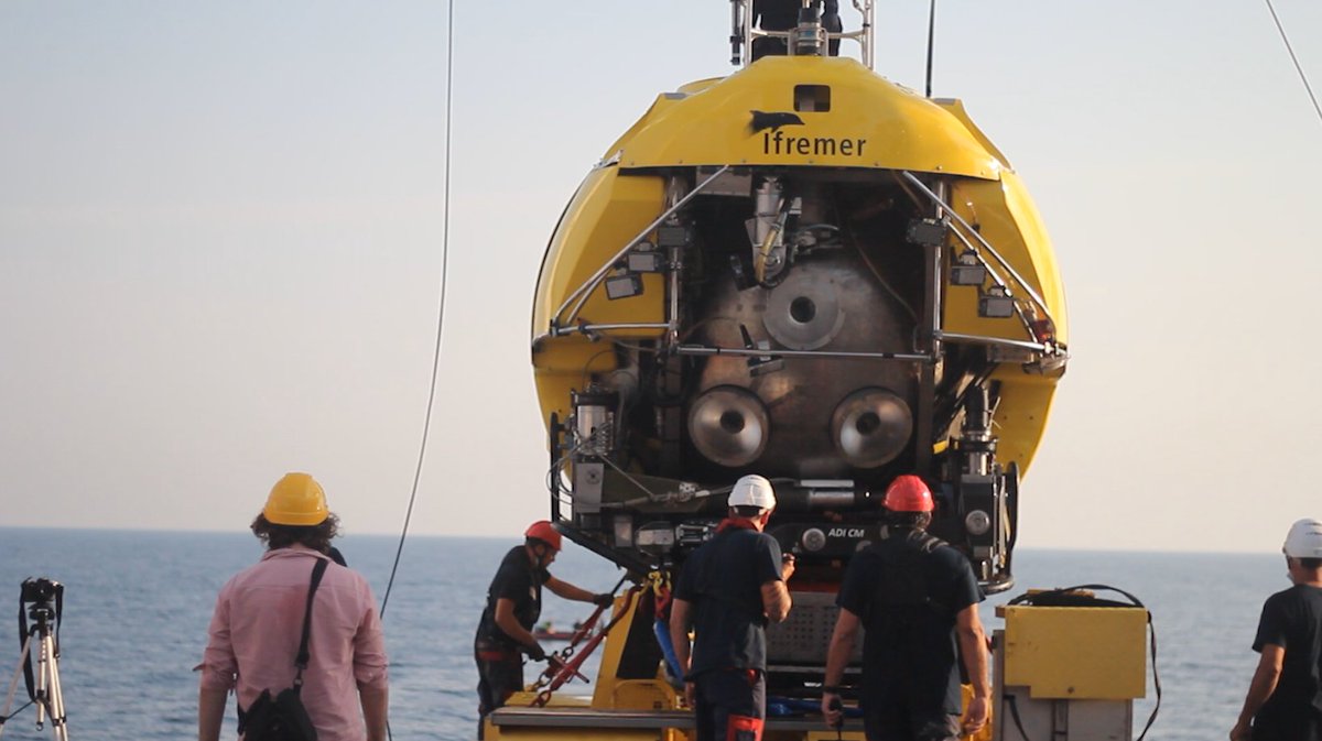 🐬 Melvak 🐬 tweet media