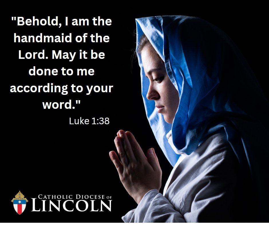 Mary chose to surrender her will to God. She trusted his plan, even though she knew little about it. That trust changed her life, and ours.
Let us also begin each day with these simple words to God: "May it be done to me according to your word." Then watch God change us!
#Advent