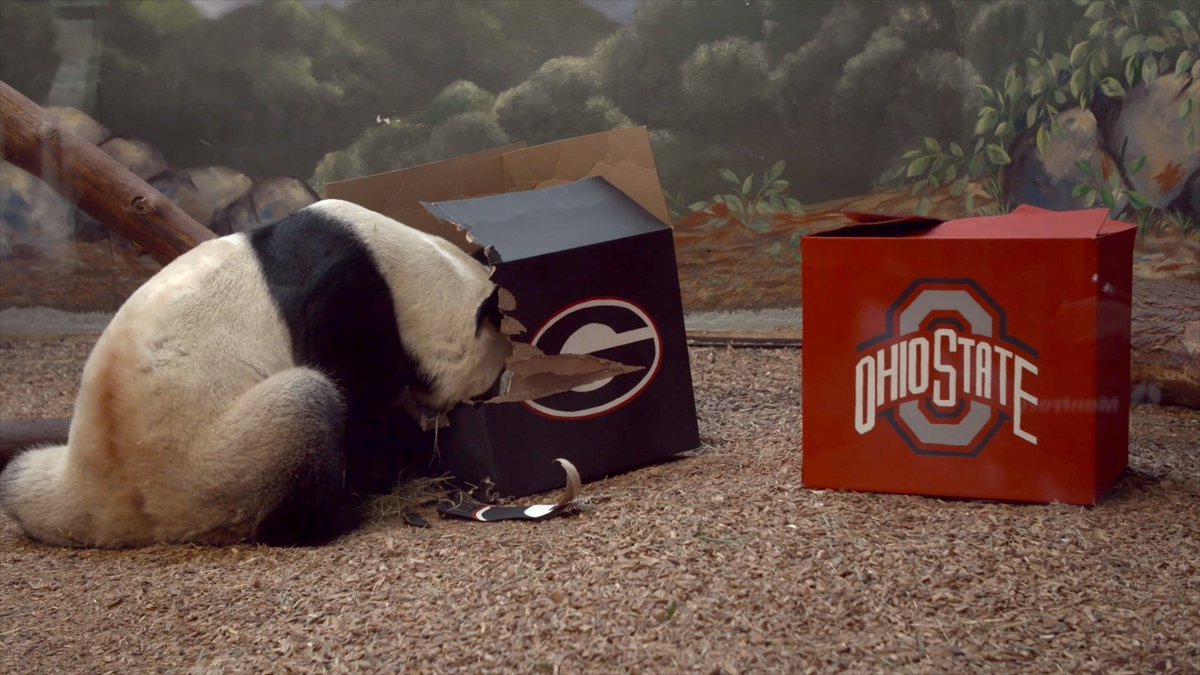 Chris Vivlamore tweet media