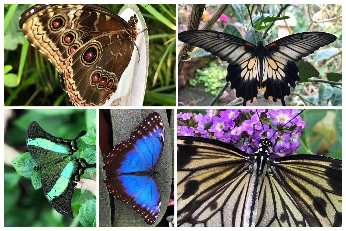 suemarshcoaching tweet media