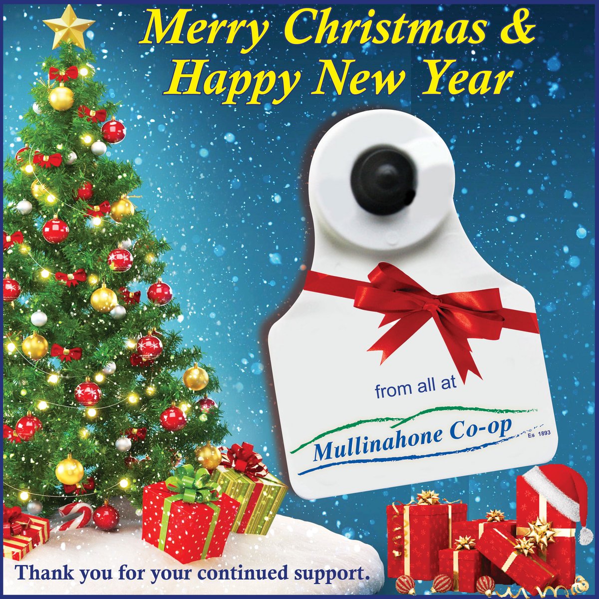 MullinahoneCoop's tweet image. #TagTime #Allflex #CalfTags #Calving2023