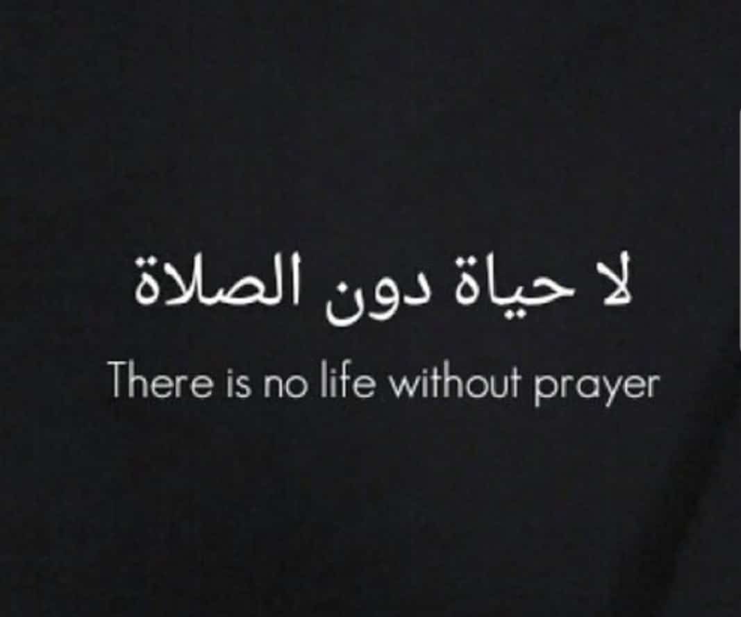 هود (@hoad73) on Twitter photo 