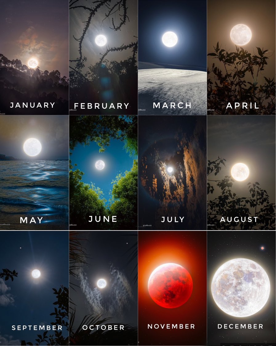 Full moons of 2022 @picabuzz