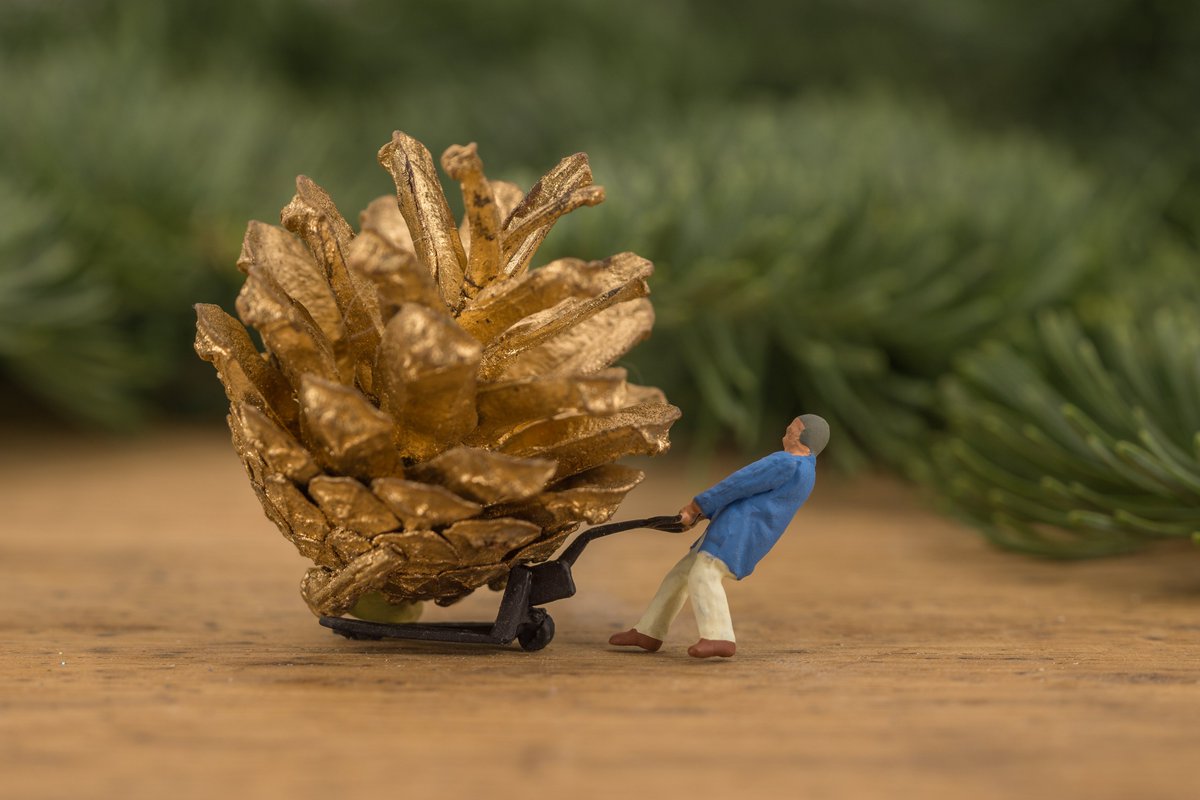 plutex's tweet photo. Frohe Weihnachten und einen guten Rutsch ins neue Jahr wünscht euch #PLUTEX!
Genießt die weihnachtlichen Tage des Jahres, die das Tempo stets ein wenig rausnehmen und uns damit die Zeit für all das verschaffen, was wir liebhaben.
#xmas #team #datacenter https://t.co/oLdaOlykyi