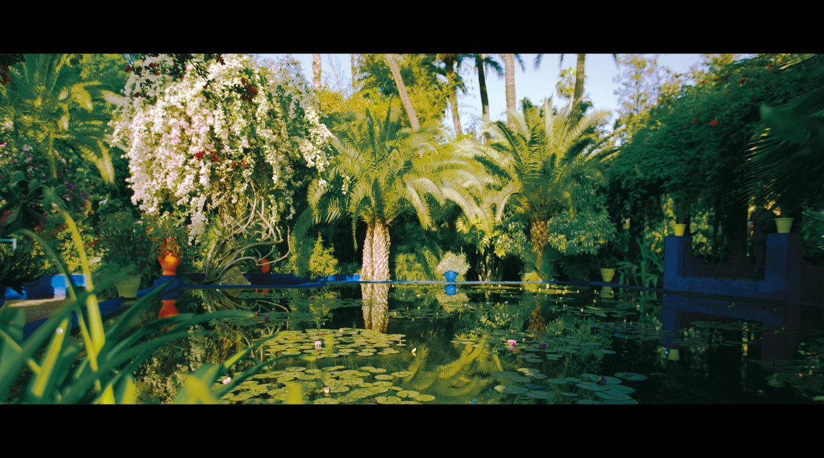 ringo_999's tweet photo. Jardin Majorelle
2018.4.23 https://t.co/rgm0pPy8Lw