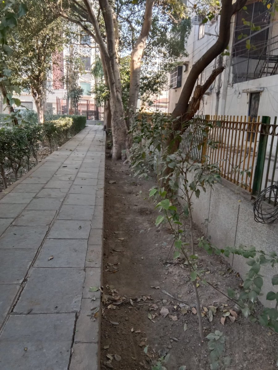 MonikaDelhiBJP's tweet photo. LIC पस्चिम विहार #Ward48 में सफ़ाई कर्मचारी अपनी ड्यूटी पर मुस्तैदी से काम करते हुए | https://t.co/Rm7akFaa6z