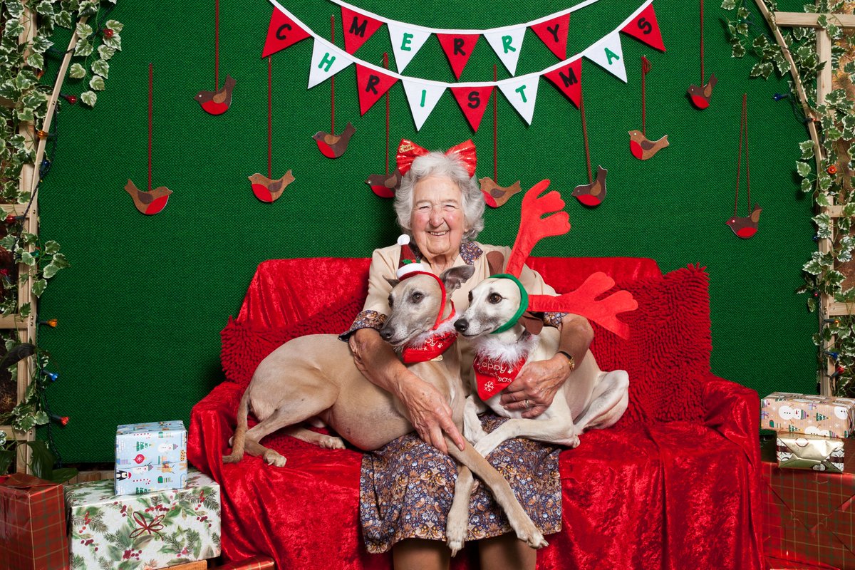 BeyondDementia_'s tweet photo. Thanks to Pauline for sharing this #ChristmasMemory of her mum Eileen at #MillSt Club in 2015. Eileen loved therapy whippets Dave and Higby - and the feeling was mutual. 
More Christmas memories at https://t.co/r0u5WB04iN - or send us yours!
@WiltsHour @ForeverHoundsUK https://t.co/QtALuLFMTS