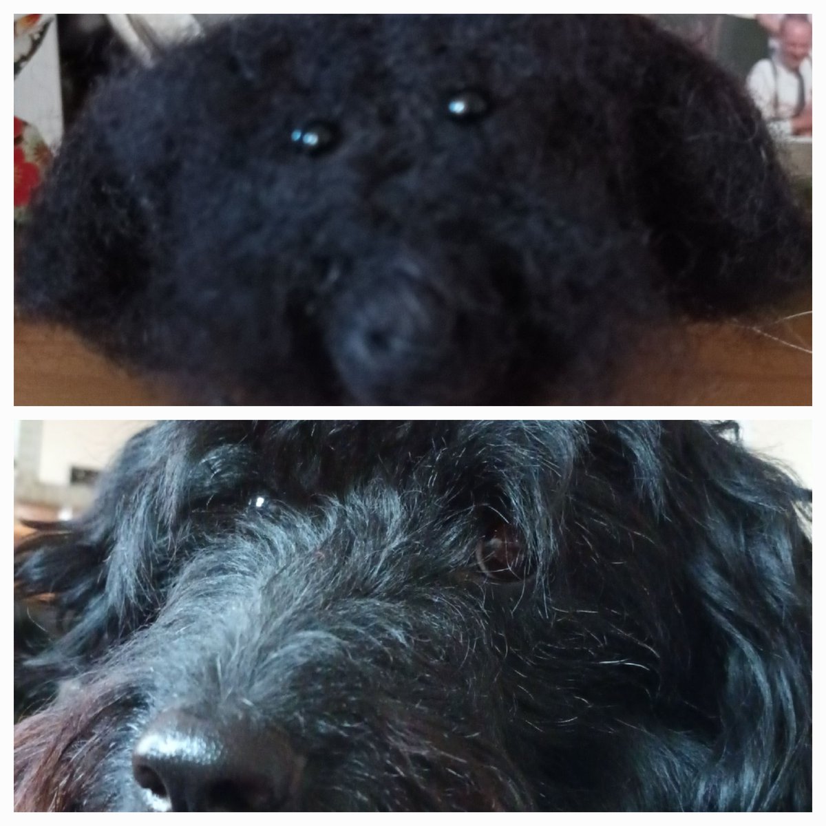 Lynn Towler tweet media