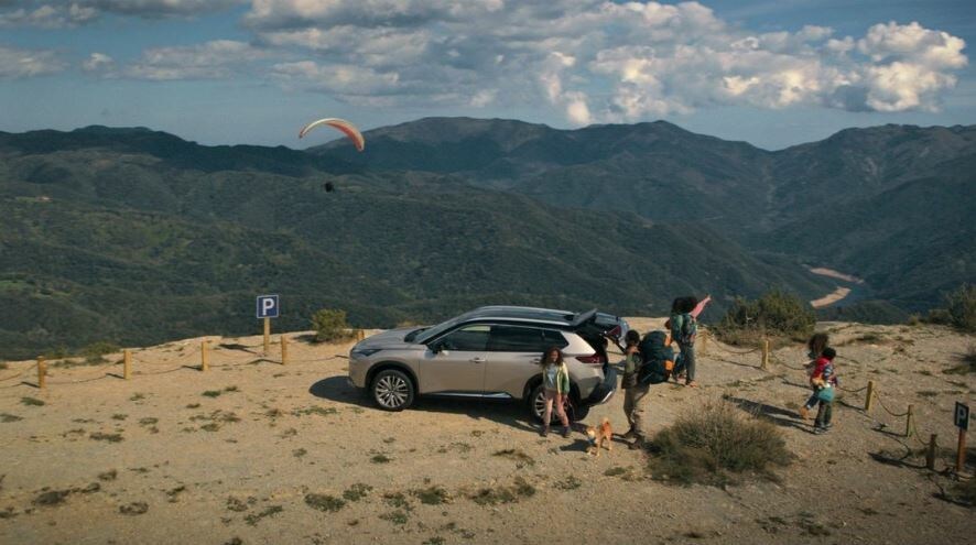 Caetano Retail Es tweet media