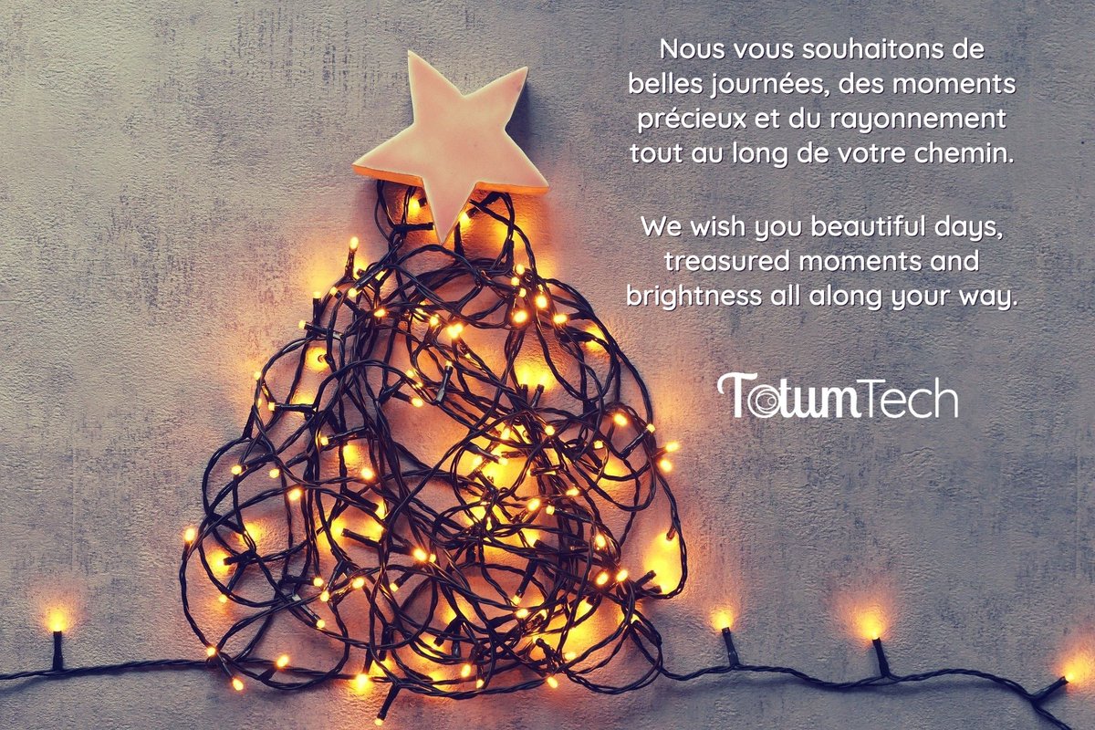 L'équipe de Totum Tech vous souhaite de joyeuses fêtes !

The Totum Tech team sends you our Season's greetings!