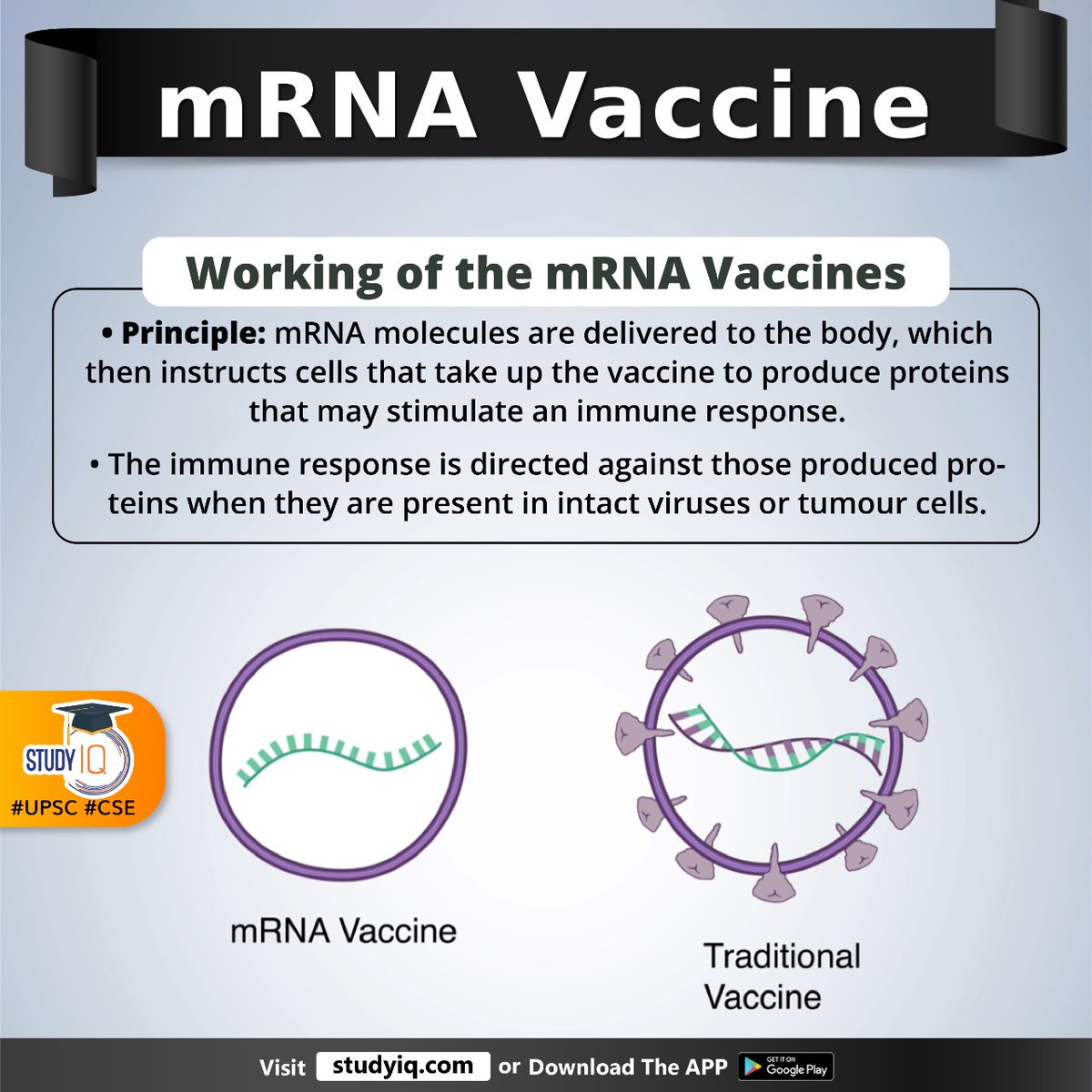 upsciq's tweet photo. mRNA Vaccine
#mrnavaccine #cancervaccine #treatcancer #ribonuceicacid #mrnaplatform #traditionalvaccine #mrnavaccines #mrnamolecules #produceproteins #immuneresponse #tumours #healthtissue #geneticsequence #isolatedmutantproteins #cancer #immunesystem #tailormadecancervaccine https://t.co/uqg463uIqP