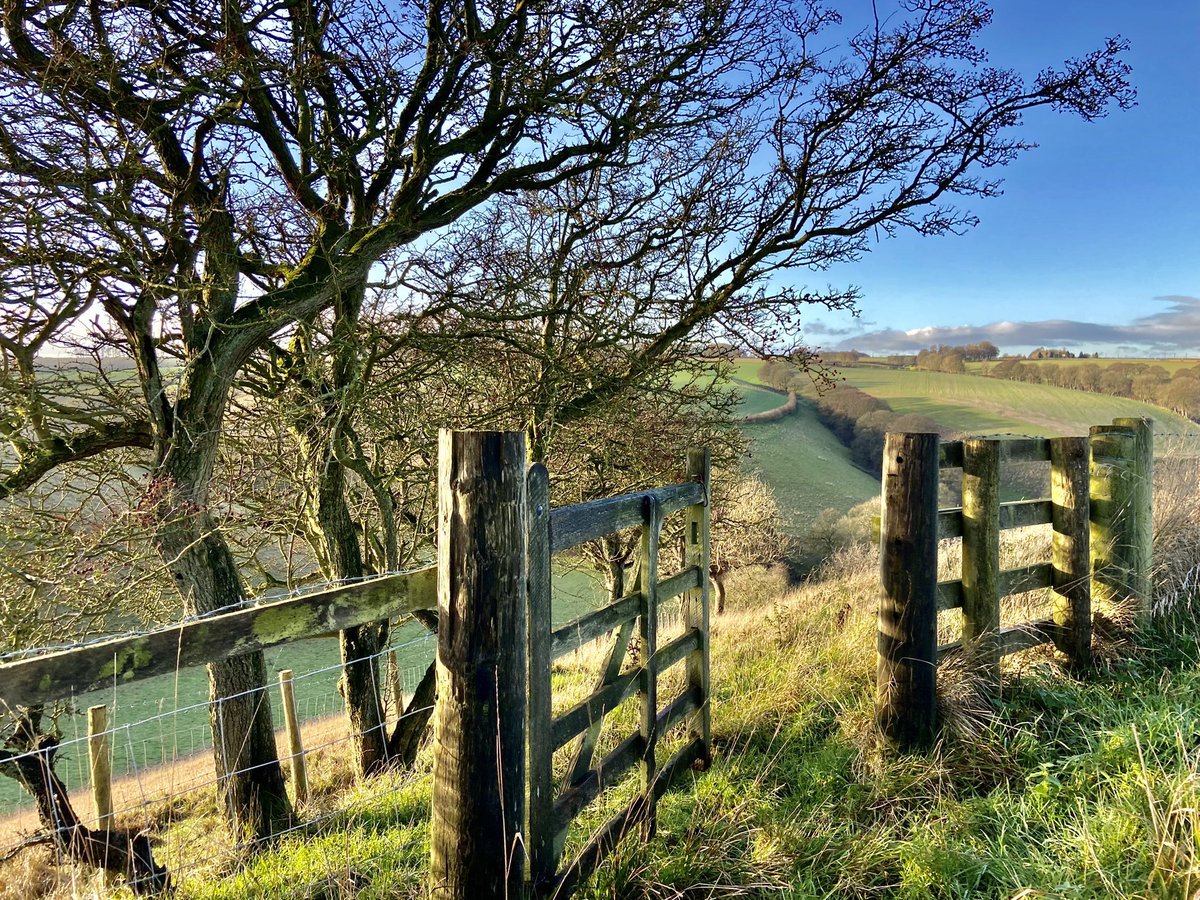 The Old Gate. 9°C and bright blue skies. A wedge of geese.