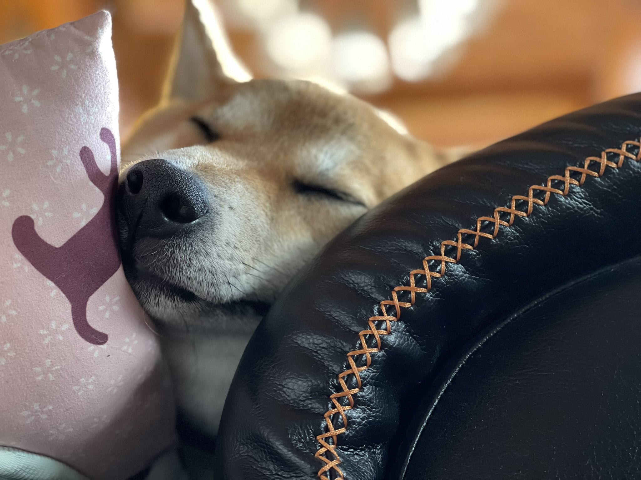 しば様 SRIXON スリクソン XXIO ゼクシオ ZXiも対応可能 スリーブ付