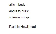 This was in Cold Moon Journal from @beach_haiku 

allium buds
about to burst
sparrow wings

#haiku #GardeningTwitter