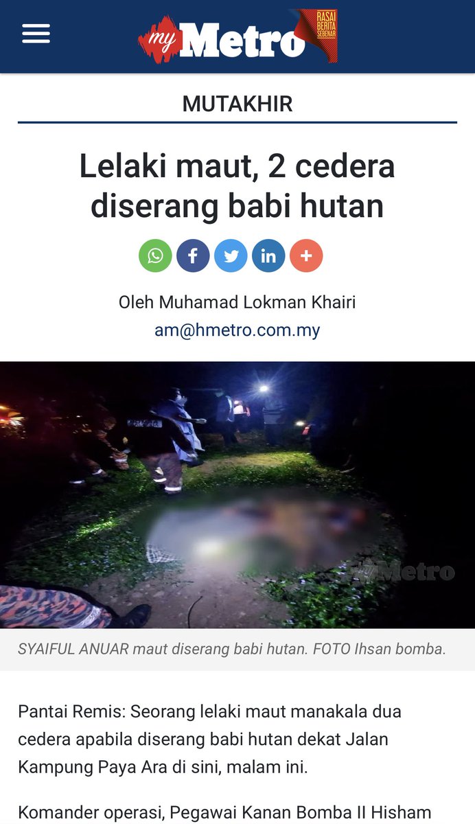 addien90s's tweet image. Orang yang pernah kena kejar atau nampak babi hutan mengganas je yang faham how deadly wild boars can be. Sebab tu netizen jangan duk buat pencinta haiwan tak bertempat. Nampak bodoh nanti.