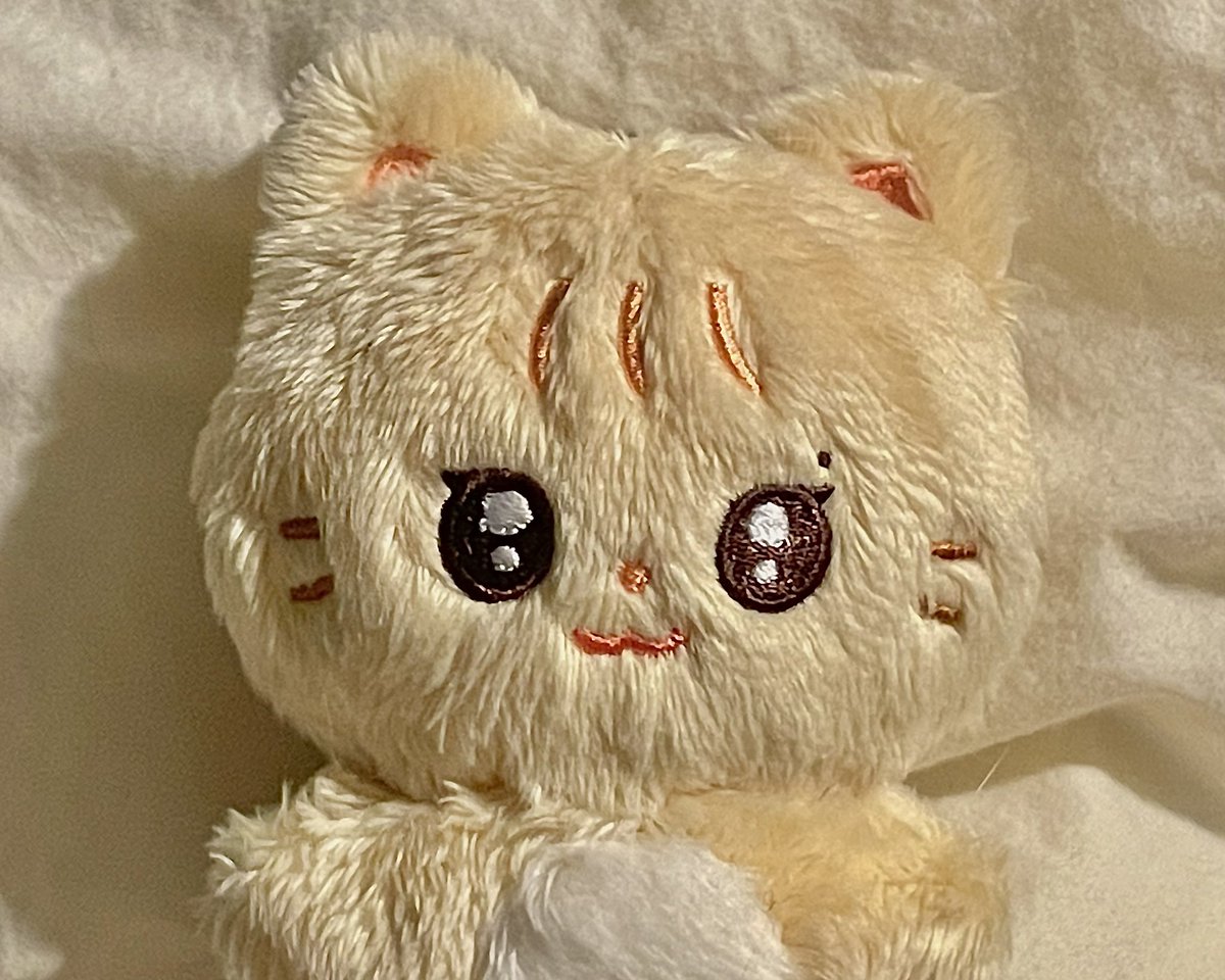 🐱