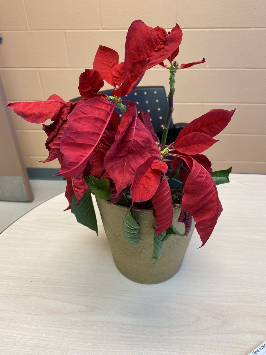 Kristen Bynoe (she/her) tweet media