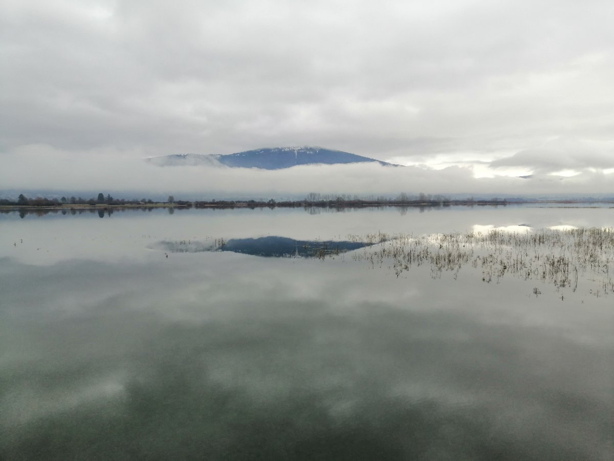 ARSO_VODE's tweet photo. Cerkniško jezero trenutno spet največje jezero v Sloveniji

Po dveh deževnih vikendih se je površina Cerkniškega jezera povečala na približno 22 km², kar je dobrih šestkrat več od površine Bohinjskega jezera. Nazadnje je imelo Cerkniško jezero tako veliko površino marca 2018. https://t.co/oCLKUtE8yf