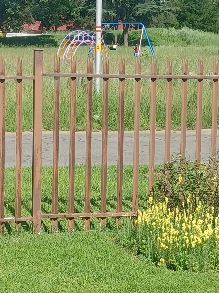 Good day <a href="/City_Ekurhuleni/">CITY OF EKURHULENI</a>.. we have such a fantastic itinerary park here, where the kids love to.play  but look at the state of this.. ease cut and tidy it for Christmas day when many families use it..thanks in advance