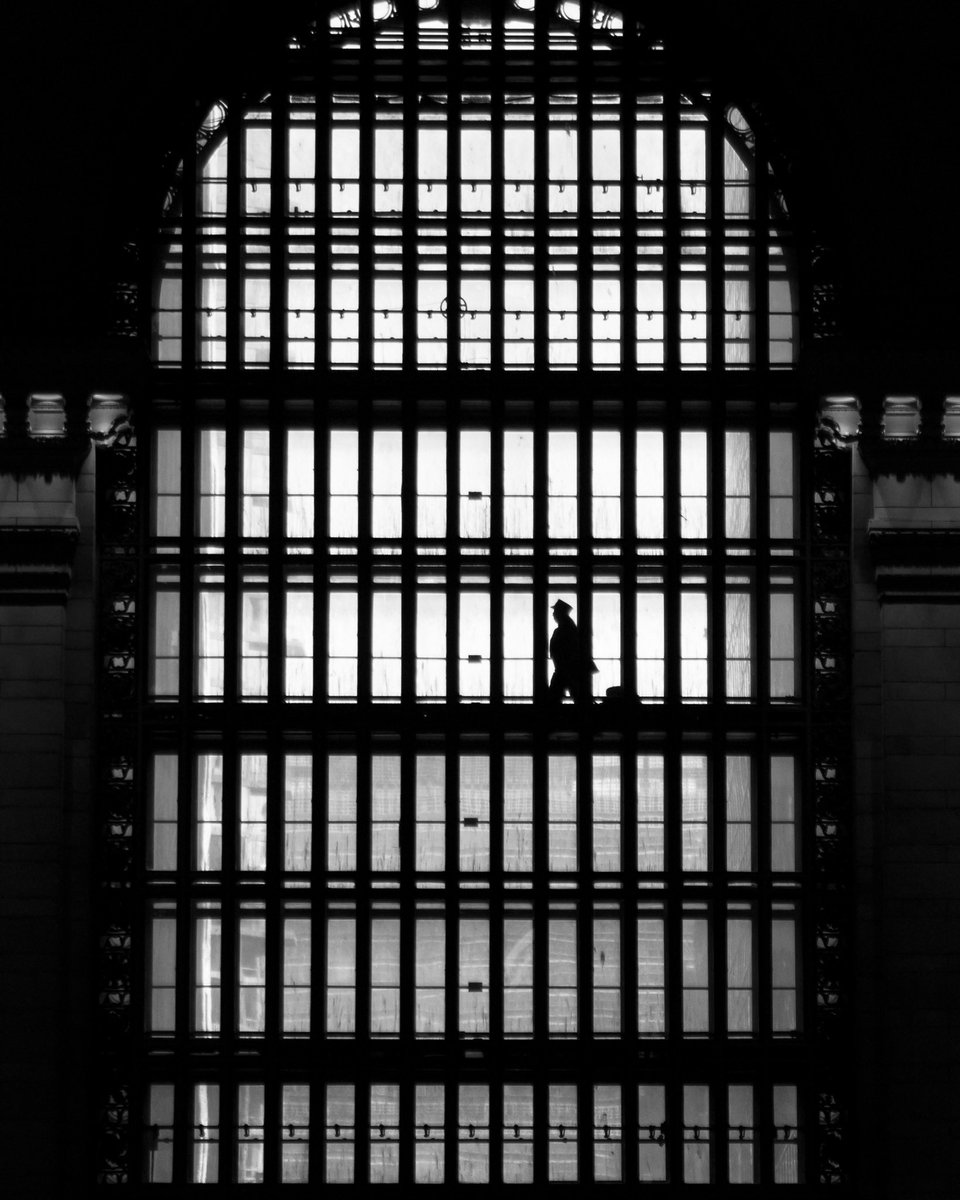 blissphish's tweet image. GM ☕️ 

“The Conductor”