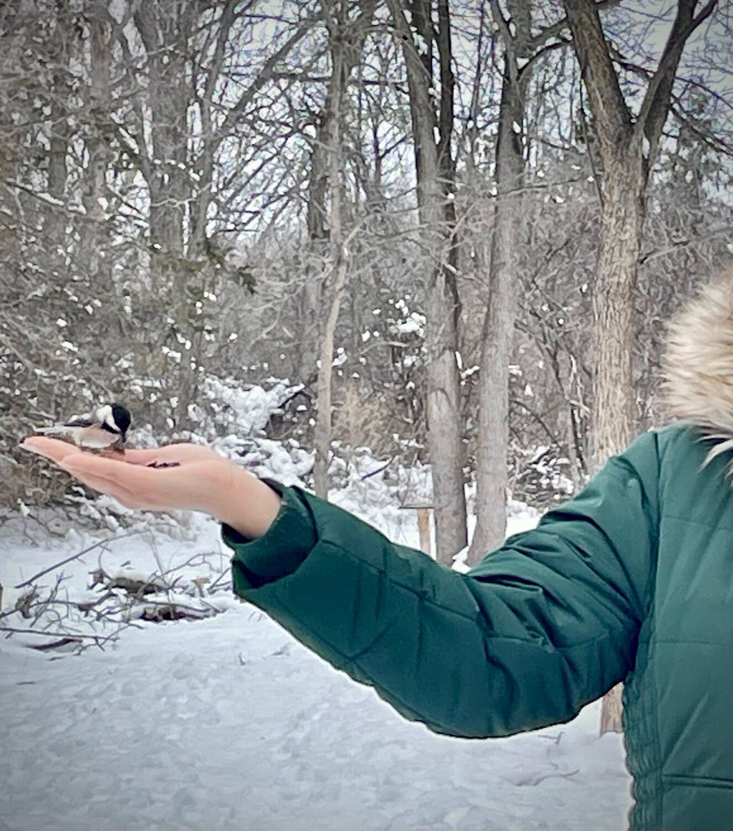 QCOutreach's tweet photo. We had a beautiful visit with a @QuinteMohawk K class to #PottersCreek CA. As we explored, the chickadees surrounded us giving so many that “Chickadee Feeling”. This was part of a @quinteca Nature Connections &amp; Art in Nature Program. Learn more https://t.co/PBVRDxnUCz https://t.co/CpAT7a0rbD