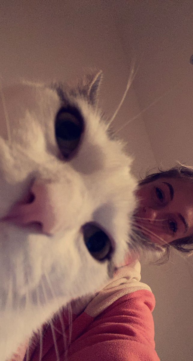 JessBainbridgee's tweet photo. One of Pebbles’ best angles https://t.co/R7fDF4nHfk