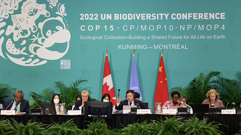 RTSOI_Tweets's tweet photo. Four years of effort have resulted in the Kunming-Montreal Worldwide Biodiversity Framework, reflecting the shared leadership of China and Canada, which will serve to direct global conservation efforts through 2030. https://t.co/guMckNS6YU