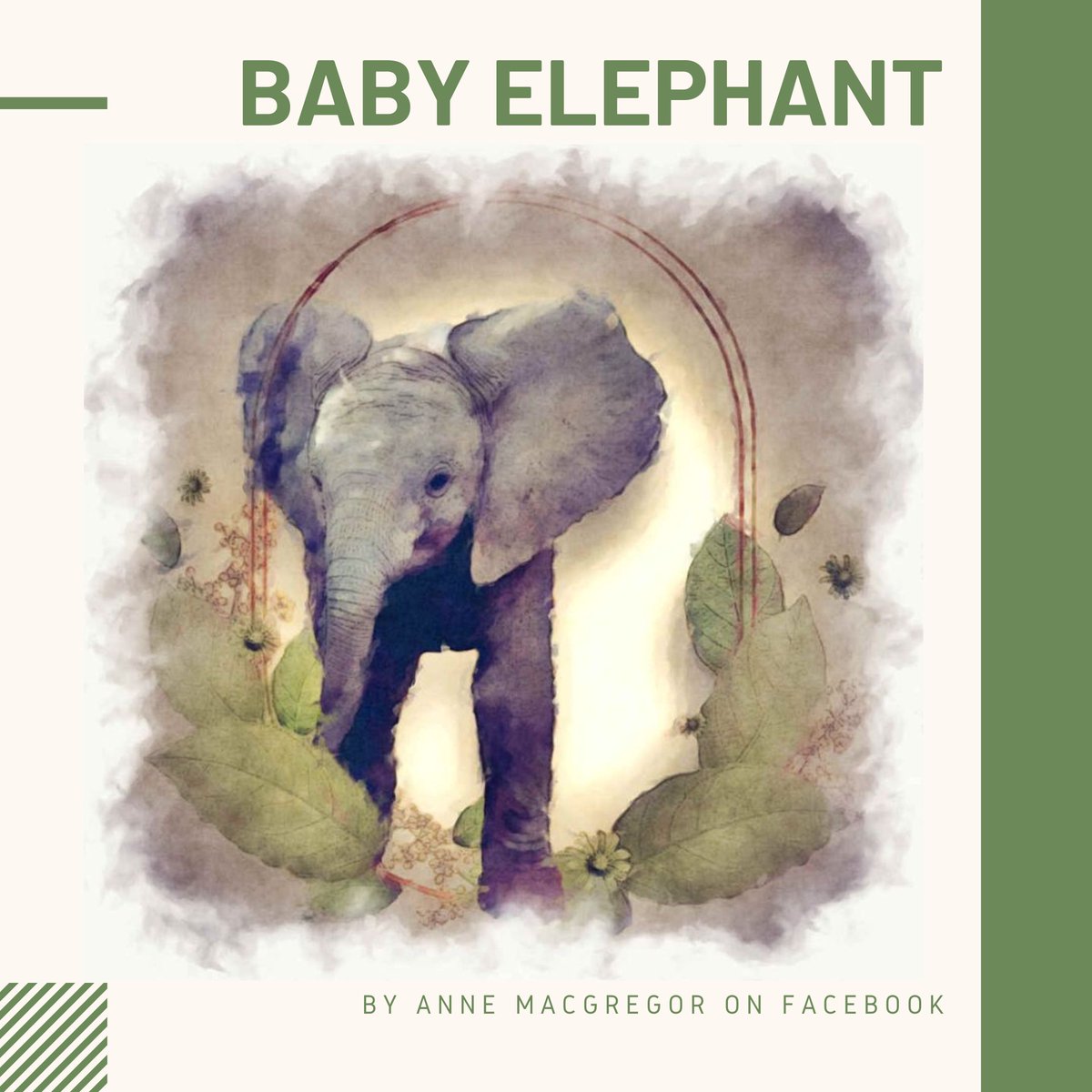 filterforge's tweet photo. Baby elephant by Anne MacGregor on Facebook

Filter used: 
Paint HDRtist by lipebianc
https://t.co/Lc18Tyihh6

#filterforge #photoeffect #artisticeffect #painterlyeffect https://t.co/ShRThN4n6P