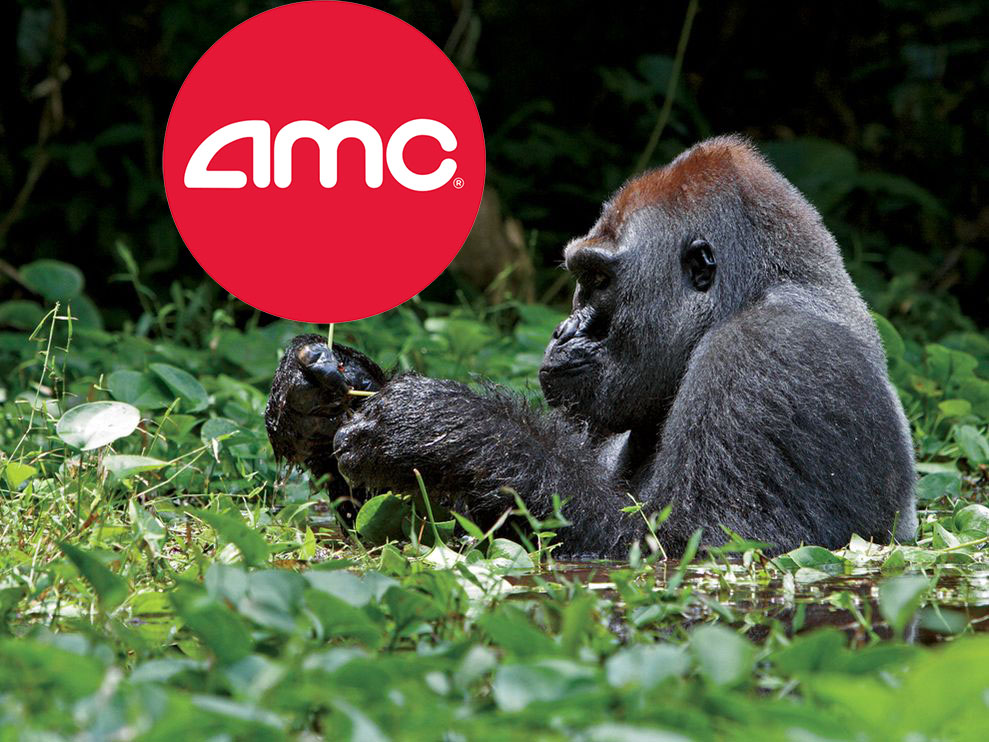 lasvegas_ape's tweet photo. Ape Math: Let's say there are 'only' 2 million #AMC Apes left hodling.

If they average 258 shares each, that's the float. 
300 share avg?  85 Million synthetics
500 share avg? 485 Million synthetics
1000 share avg? 1.485 Billion synthetics

I think the avg is easily 1000+ 🦍🦍🦍 https://t.co/phqWLMCr1M