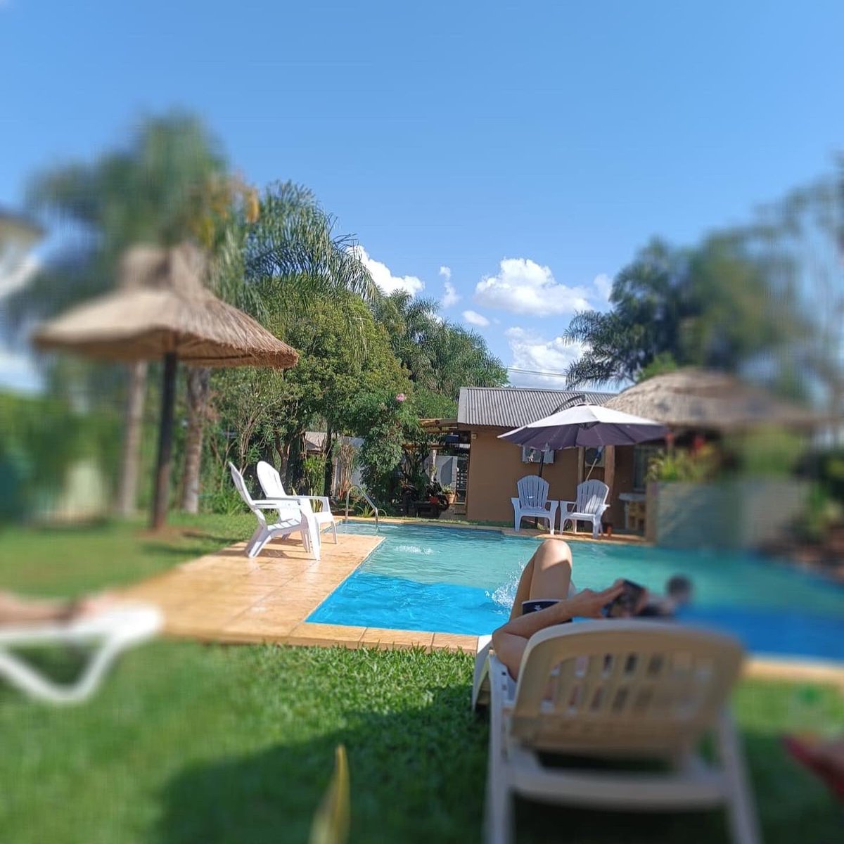 lasvioletasmnes's tweet photo. Hoy, más temprano..algunas fotos de la piscina del complejo…

Hay 3 piscinas para que disfrutes. Comenzá a programa tu finde largo y de #Navidad. 

El #viernes ya es feriado té esperamos para la mejor #Navidad en familia

#hotel #complejo #alojamiento #resto #habitaciones https://t.co/zUtRl8TkR2