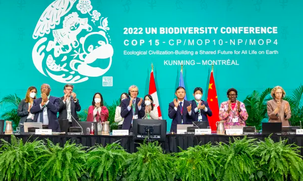 Governments have agreed a historic #Post2020 Global Biodiversity Framework on nature at #COP15 to: 🌿protect 30% of the planet #ForNature by 2030 💸reform $500bn (£410bn) of damaging subsidies 🌱restore 30% of the planet’s degraded #ecosystems @guardian: theguardian.com/environment/20…