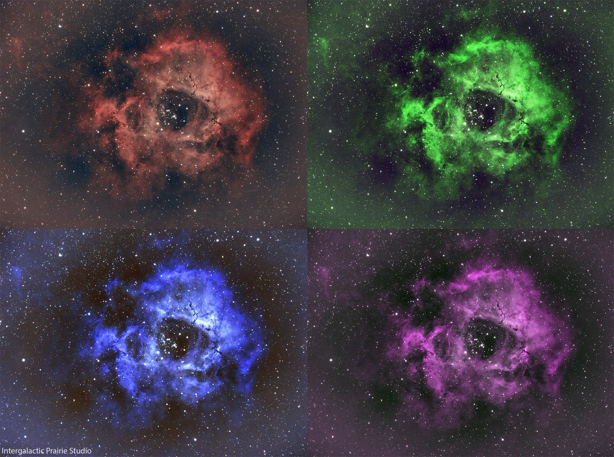 freedomfeens's tweet photo. My pic of Rosette Nebula skulls, 4-up, plus a map of where they live, in case you get lost up there.
#astrophotography #CS2U 
#BlurXTerminator #StarXTerminator https://t.co/kBHecylZdw