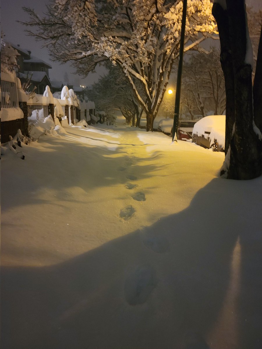 RaynaldoSuarez's tweet photo. I may be from #Alberta... but #Vancouver is really something else today ๐๐ฝ๐จ๏ธโ๏ธ
I didn't see it stop snowing once from 9pm Monday-6am today, and it's still coming down
(Pardon the goofy snow walk)
#BCStorm #StayHome ๐
๐ฝ #ComingHomeFromWork #OvernightLife https://t.co/h4QN73KEbu